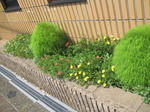 IMG_1951.JPG